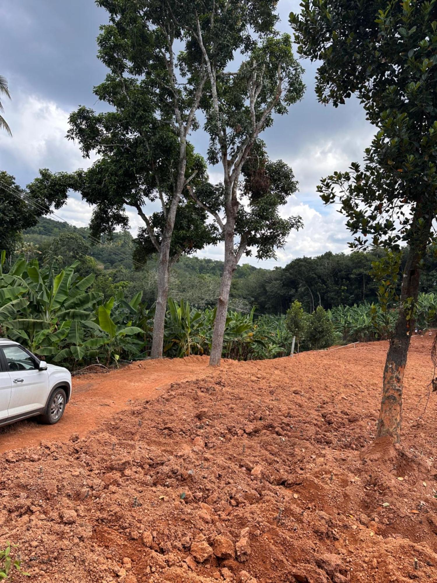 Kattil Farm Stay Varkala Thiruvananthapuram Ngoại thất bức ảnh